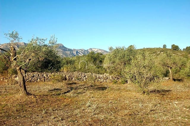 Grunde uden byggetilladelser til salg i El Perelló - € 17.000 (Ref: 6444232)