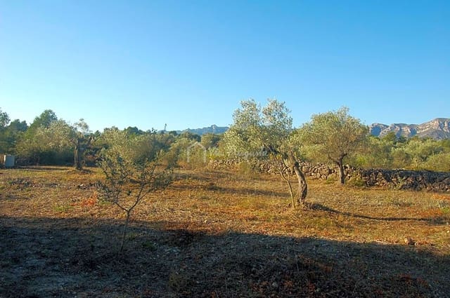Grunde uden byggetilladelser til salg i El Perelló - € 17.000 (Ref: 6444232)