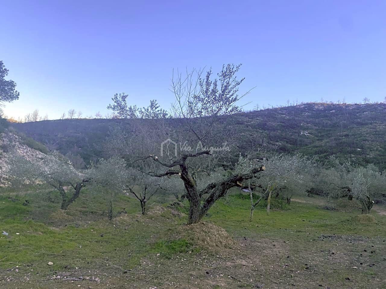 Ubebygd land til salgs i El Perello - € 60 000 (Ref: 6594067)