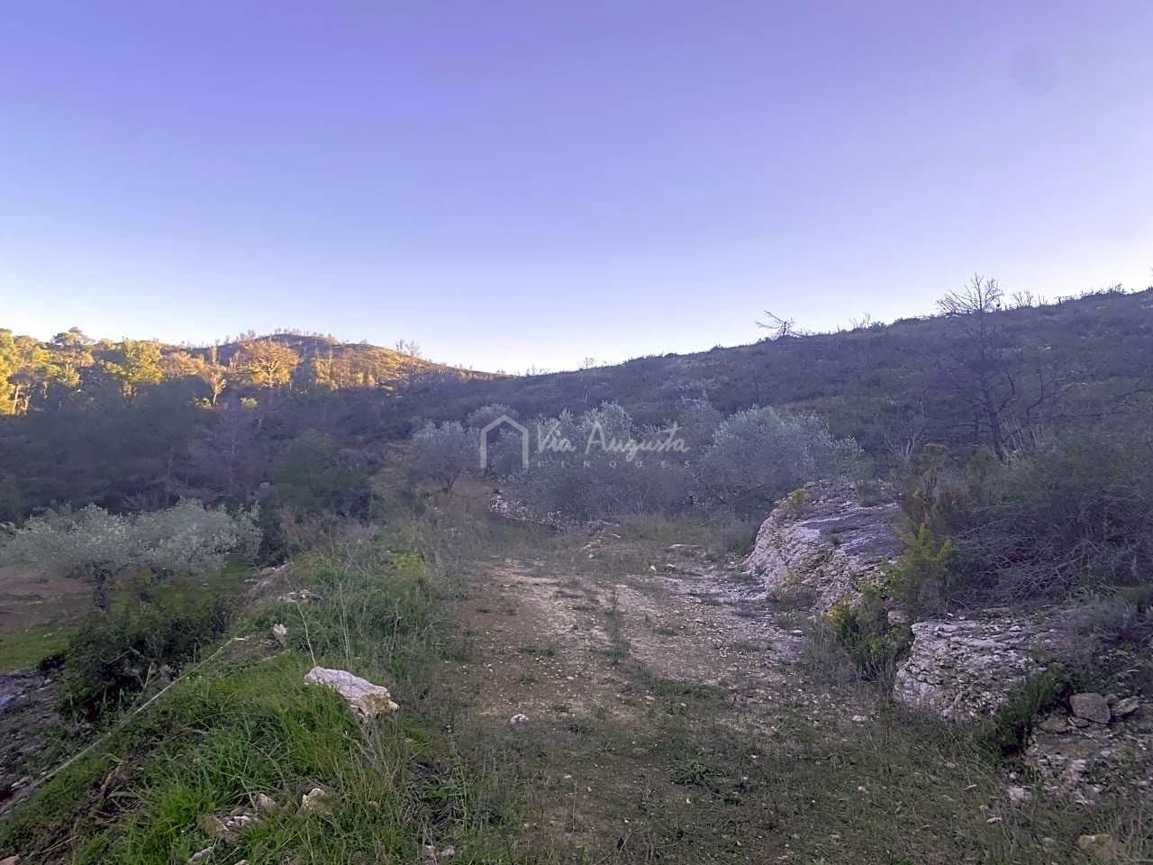 Ubebygd land til salgs i El Perello - € 60 000 (Ref: 6594067)