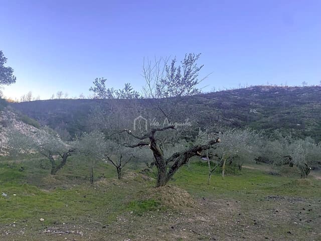 Undeveloped Land for sale in El Perelló - € 60,000 (Ref: 6594067)