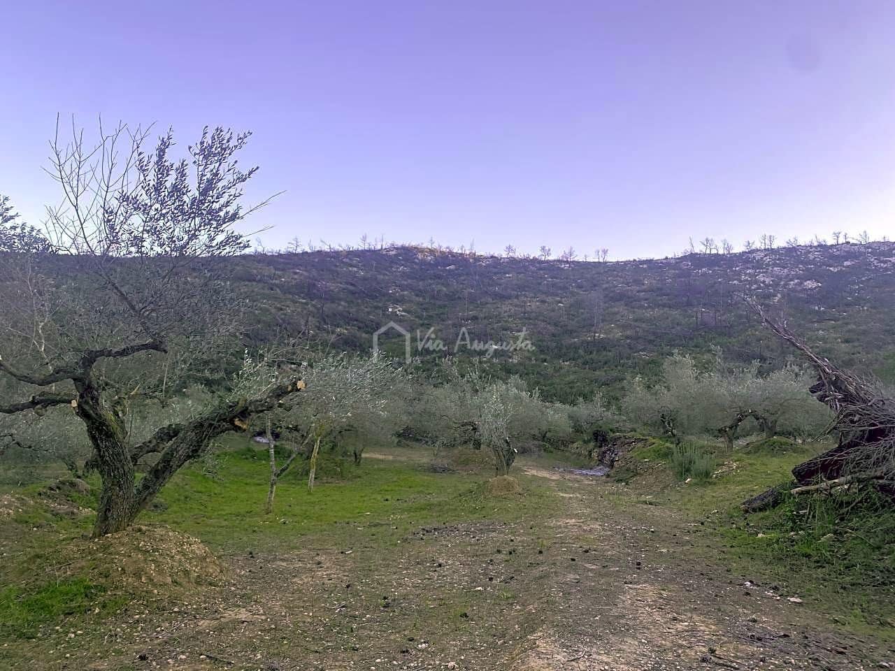 Ubebygd land til salgs i El Perello - € 60 000 (Ref: 6594067)