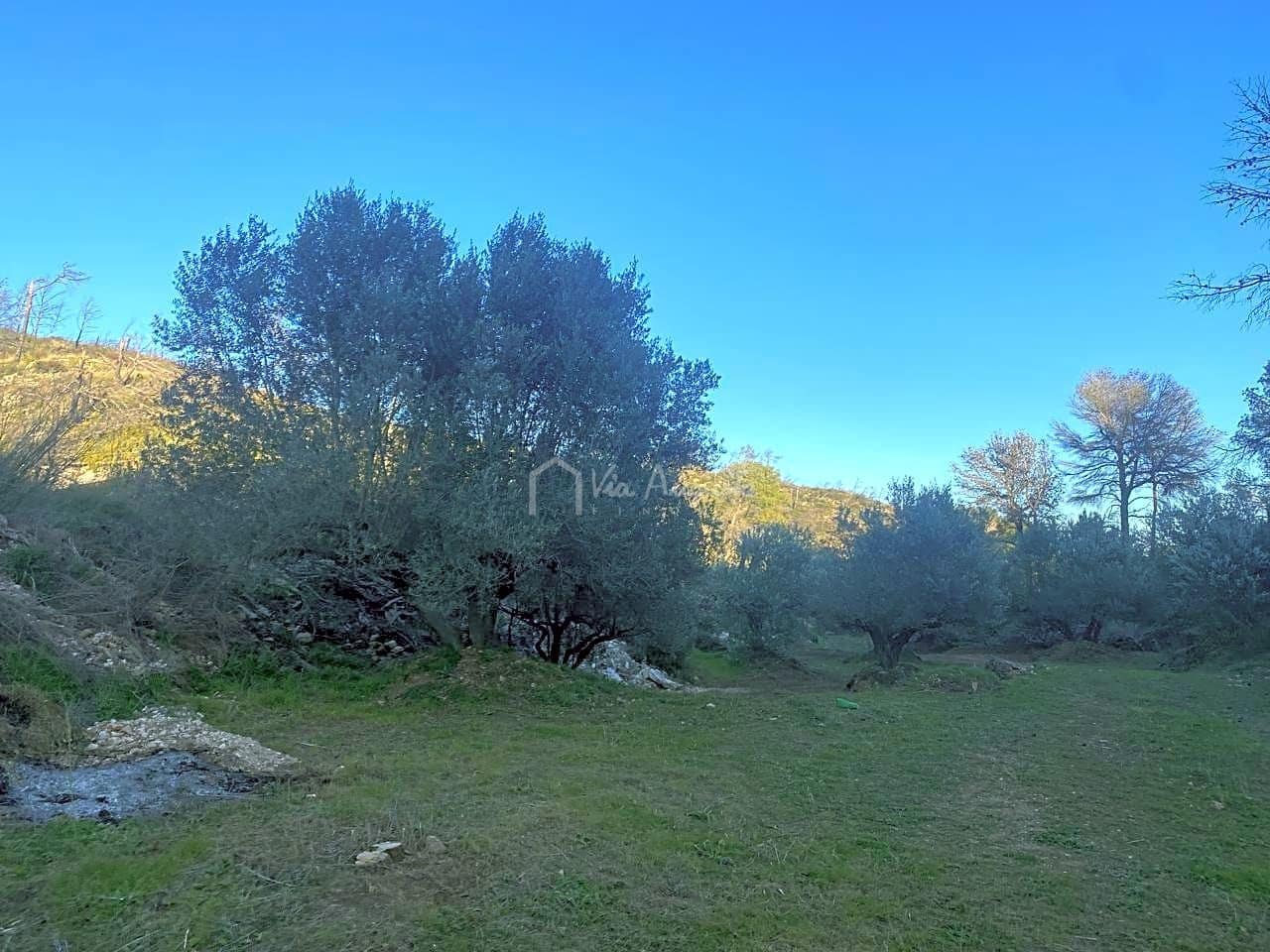 Ubebygd land til salgs i El Perello - € 60 000 (Ref: 6594067)