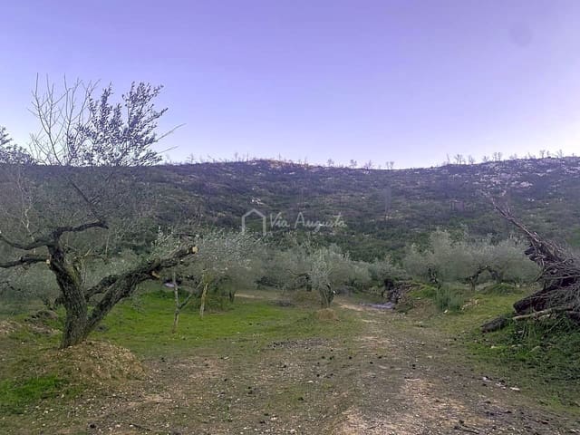 Undeveloped Land for sale in El Perelló - € 60,000 (Ref: 6594067)