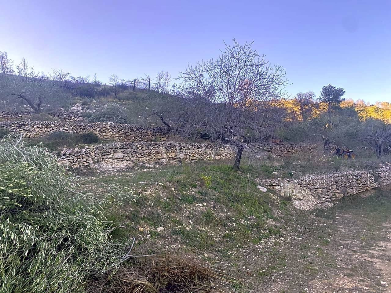 Ubebygd land til salgs i El Perello - € 60 000 (Ref: 6594067)