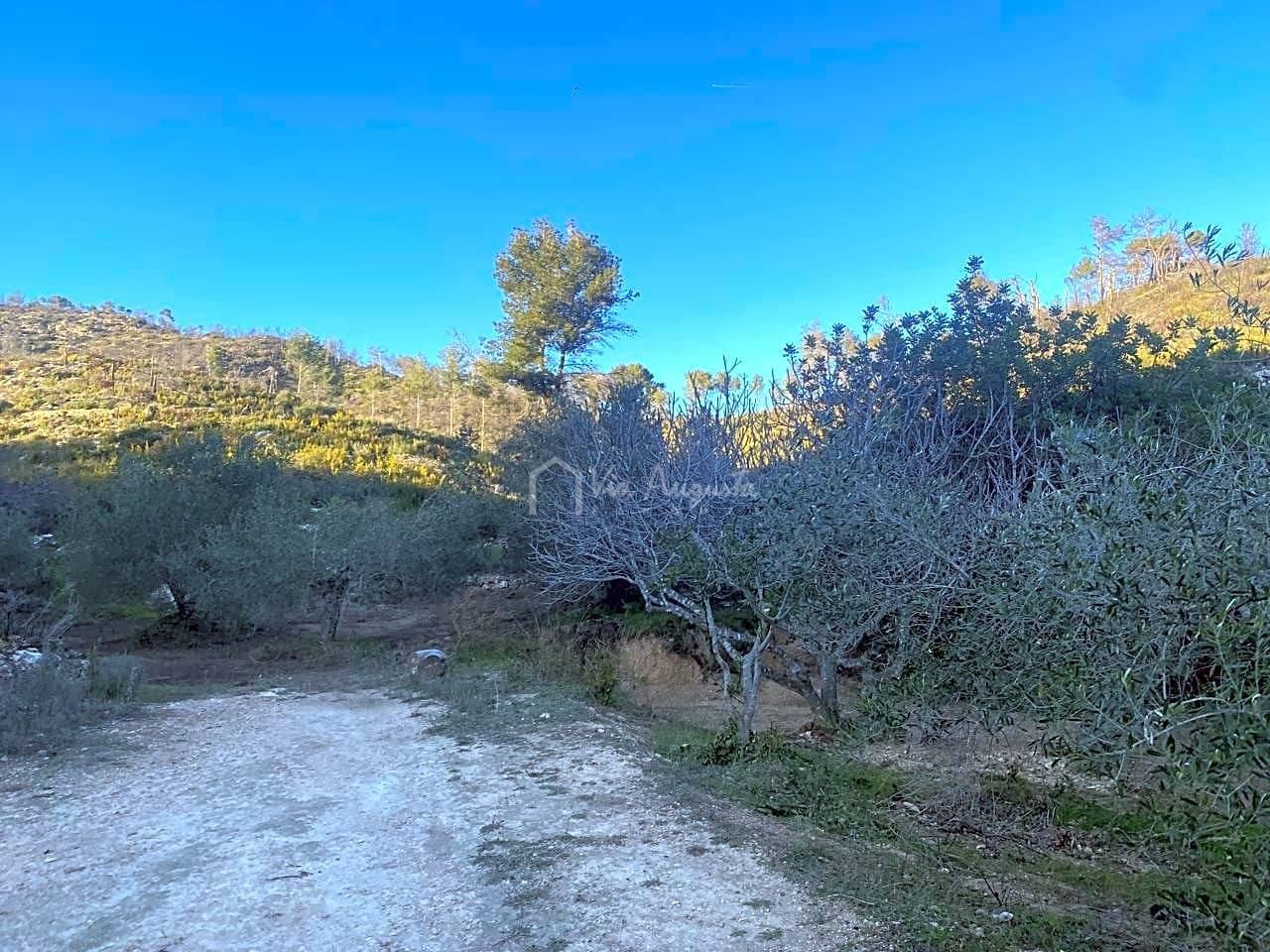 Ubebygd land til salgs i El Perello - € 60 000 (Ref: 6594067)