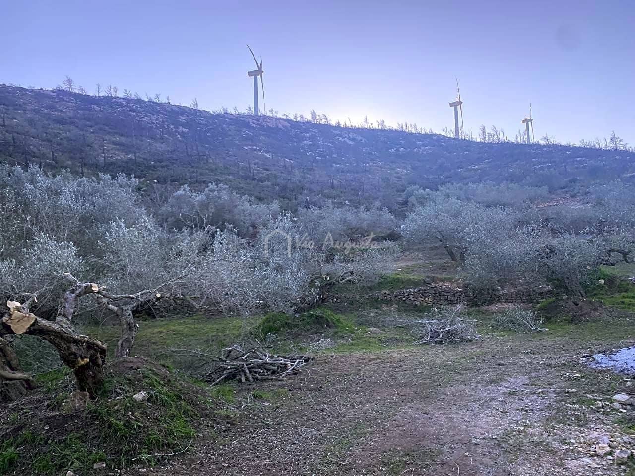 Ubebygd land til salgs i El Perello - € 60 000 (Ref: 6594067)