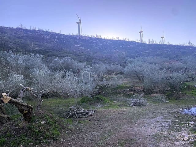 Undeveloped Land for sale in El Perelló - € 60,000 (Ref: 6594067)