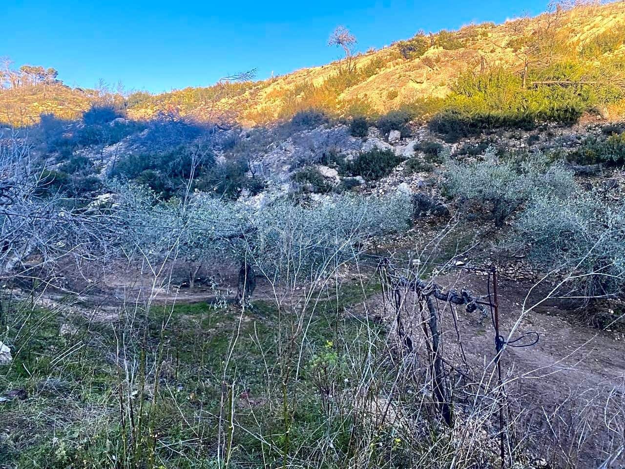 Ubebygd land til salgs i El Perello - € 60 000 (Ref: 6594067)