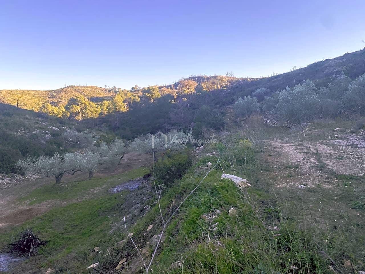 Ubebygd land til salgs i El Perello - € 60 000 (Ref: 6594067)