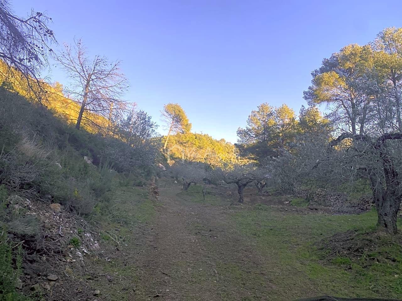 Ubebygd land til salgs i El Perello - € 60 000 (Ref: 6594067)