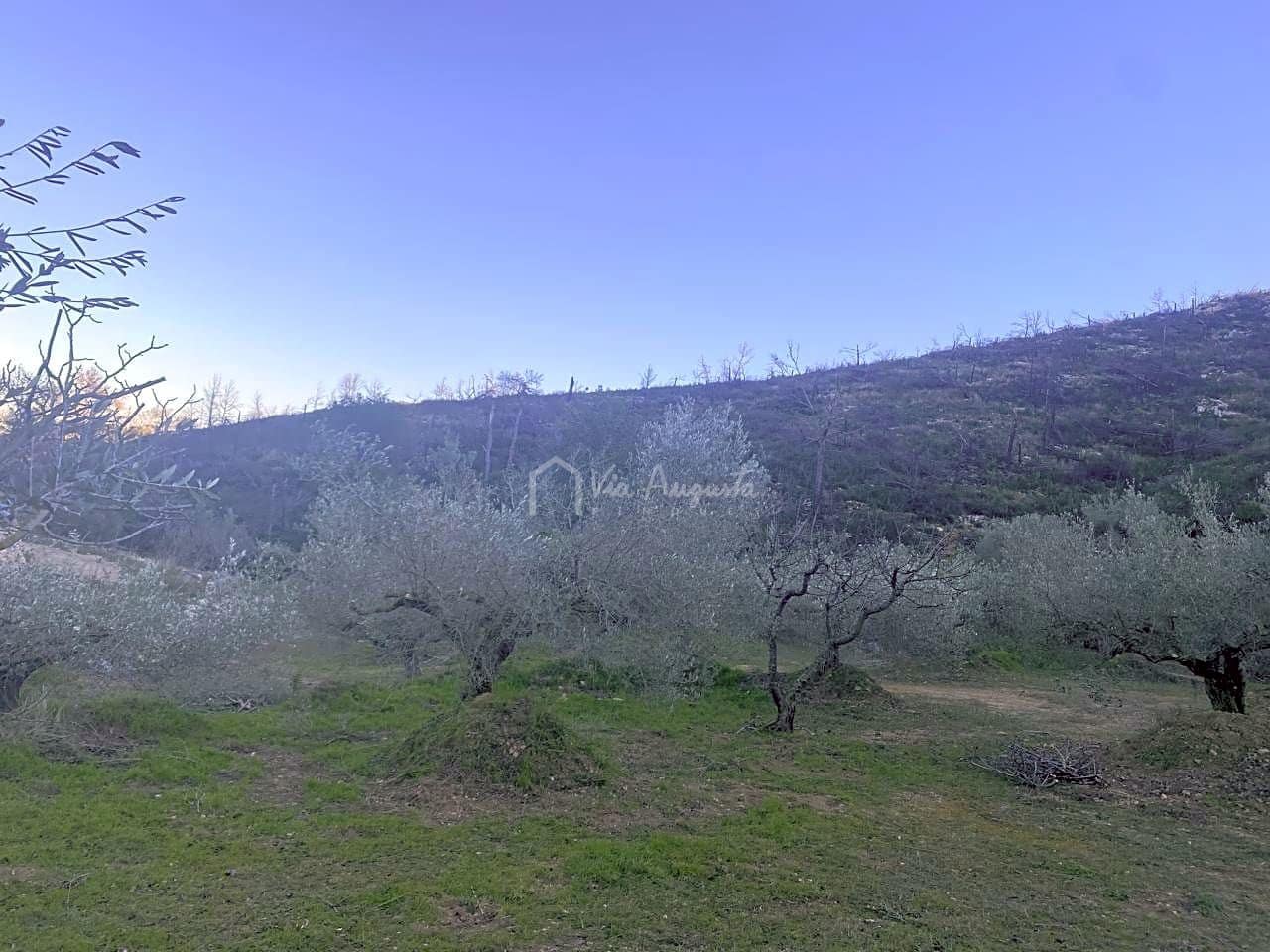 Ubebygd land til salgs i El Perello - € 60 000 (Ref: 6594067)