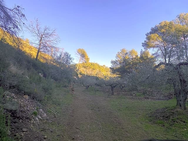 Undeveloped Land for sale in El Perelló - € 60,000 (Ref: 6594067)