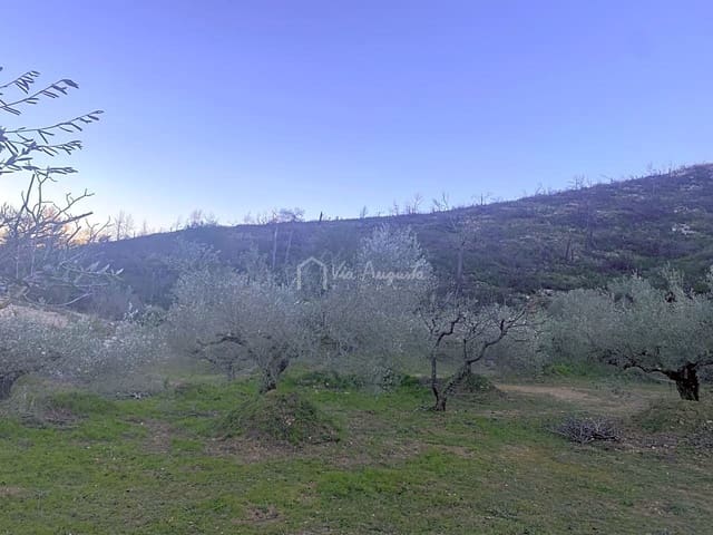 Undeveloped Land for sale in El Perelló - € 60,000 (Ref: 6594067)
