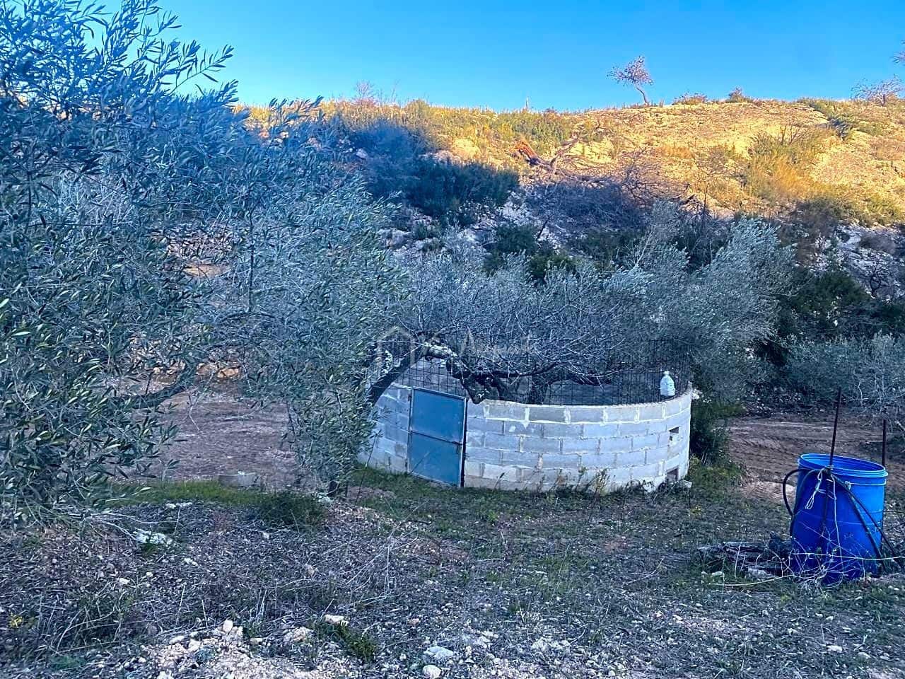 Ubebygd land til salgs i El Perello - € 60 000 (Ref: 6594067)