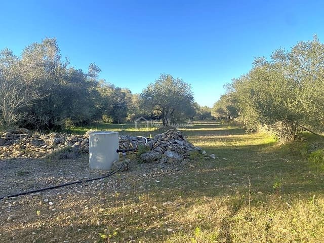 Ubebygd land til salgs i El Perelló - € 20 000 (Ref: 6594068)