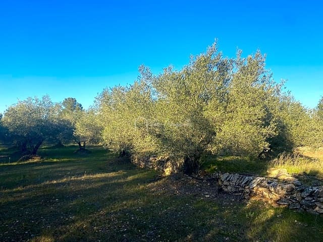 Ubebygd land til salgs i El Perelló - € 20 000 (Ref: 6594068)