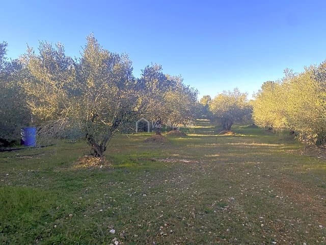 Ubebygd land til salgs i El Perelló - € 20 000 (Ref: 6594068)