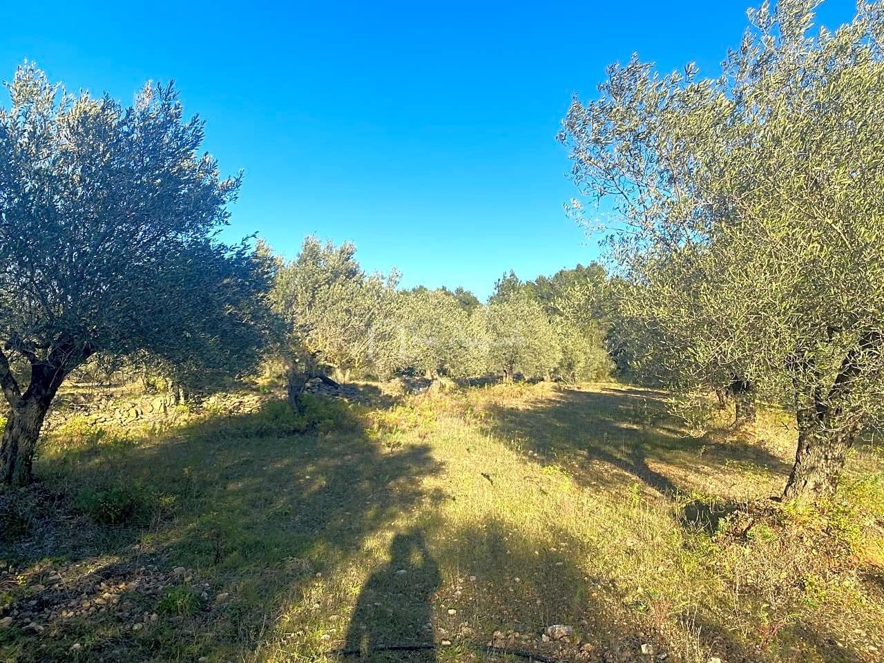 Mark till salu i El Perello - 20 000 € (Ref: 6594068)