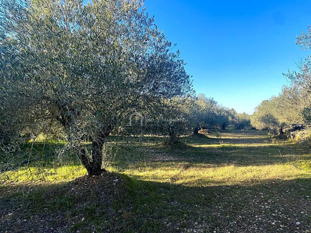 Mark till salu i El Perello - 20 000 € (Ref: 6594068)