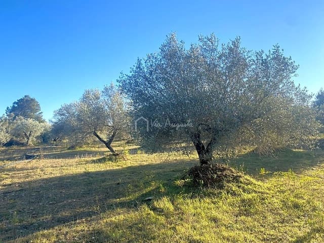 Ubebygd land til salgs i El Perelló - € 20 000 (Ref: 6594068)