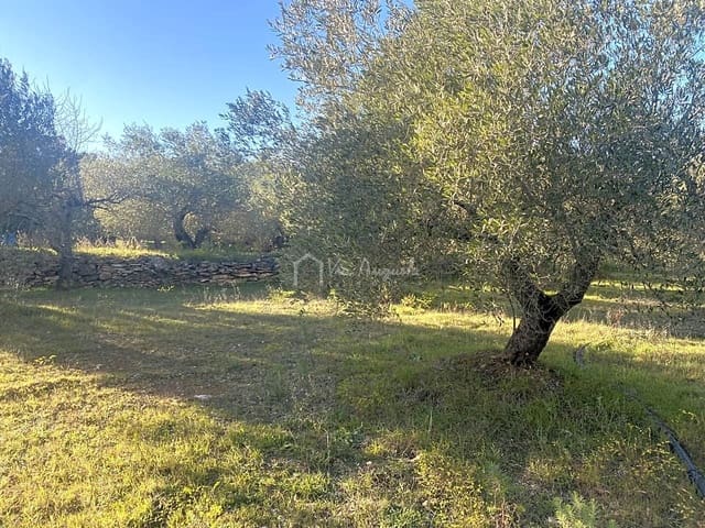 Ubebygd land til salgs i El Perelló - € 20 000 (Ref: 6594068)