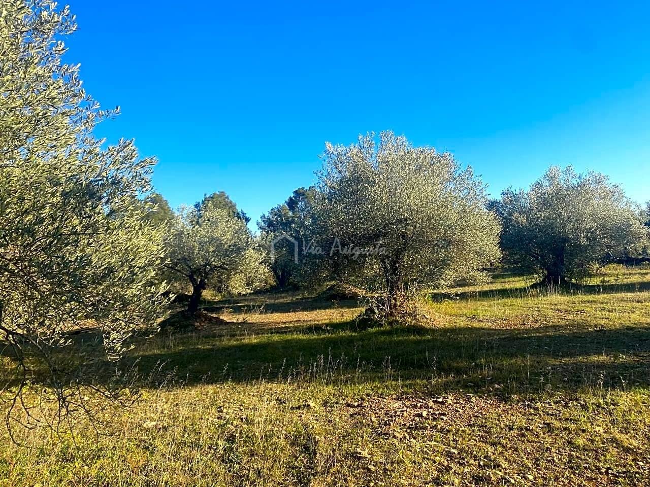 Mark till salu i El Perello - 20 000 € (Ref: 6594068)