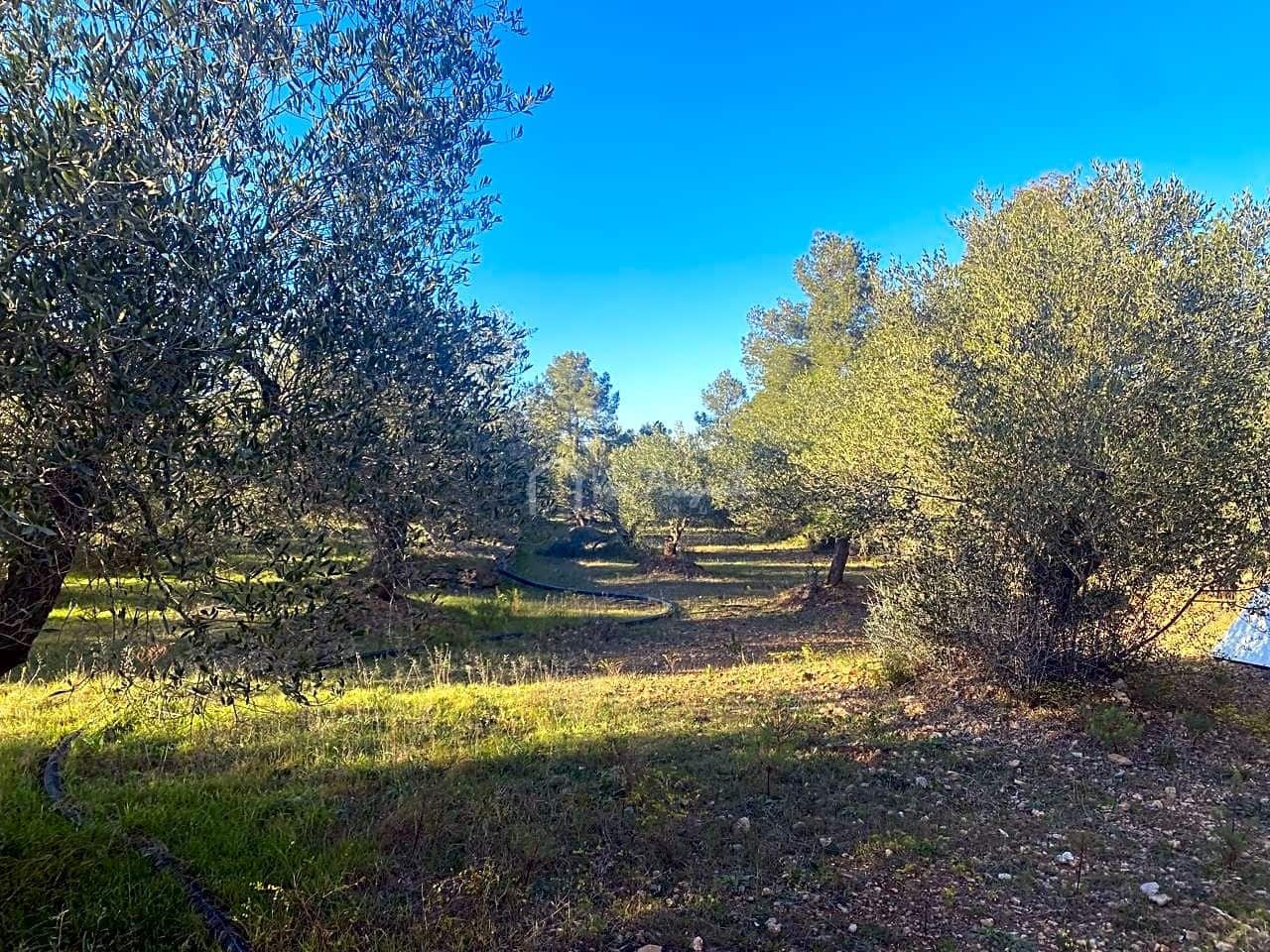 Mark till salu i El Perello - 20 000 € (Ref: 6594068)