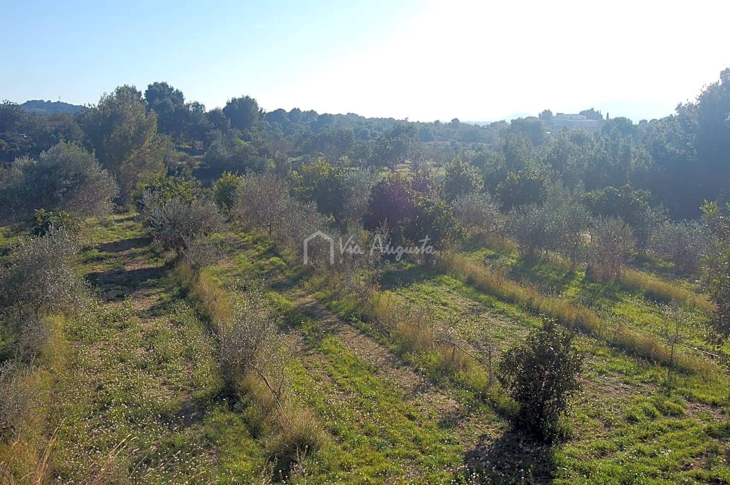 8 sypialnia Finka/Dom wiejski na sprzedaż w Tortosa - 950 000 € (Ref: 6594069)