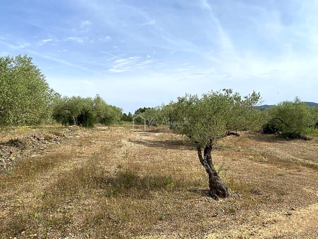 Teren niezagospodarowany na sprzedaż w El Perello - 12 500 € (Ref: 6903551)