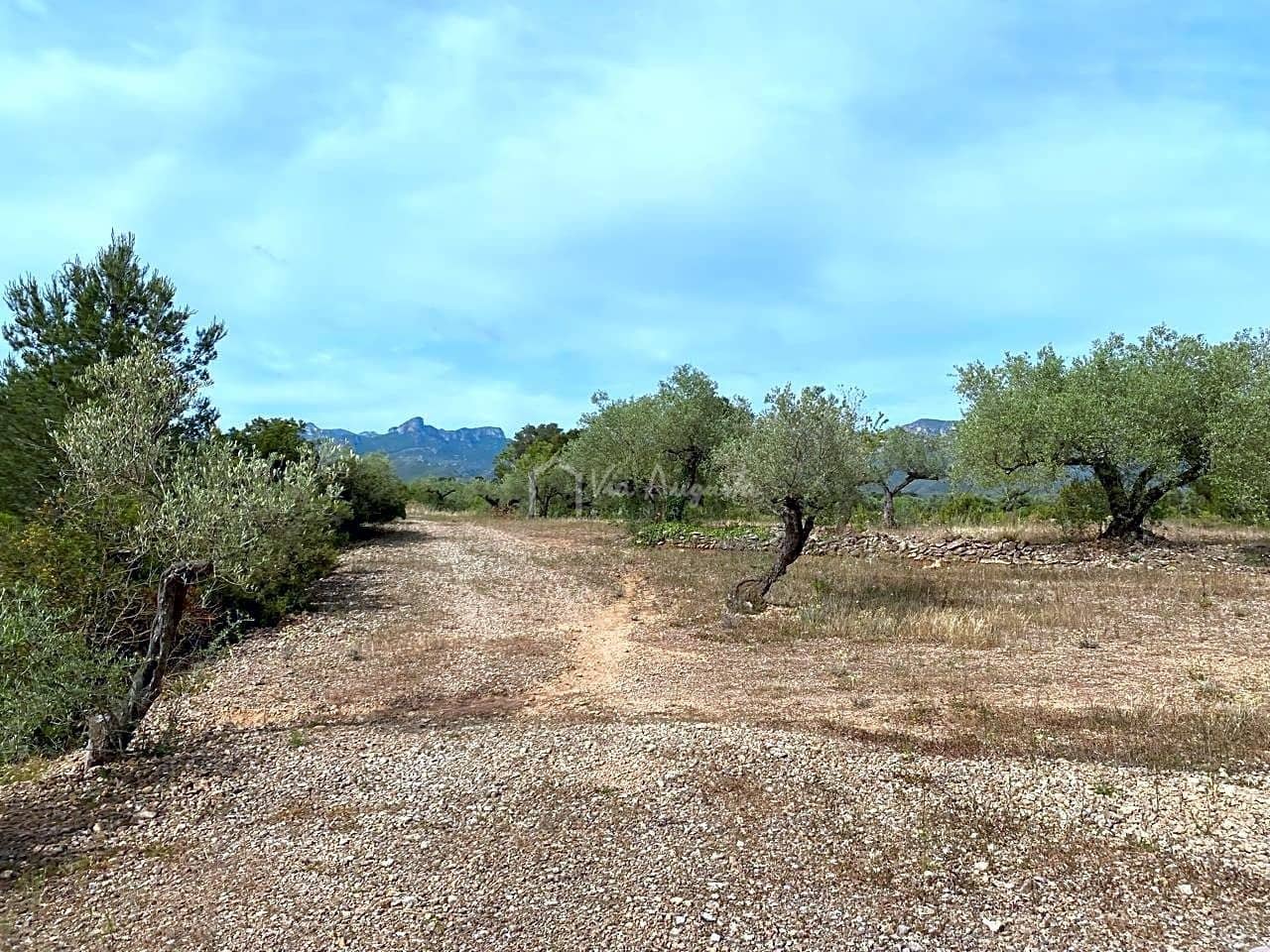Teren niezagospodarowany na sprzedaż w El Perello - 12 500 € (Ref: 6903551)