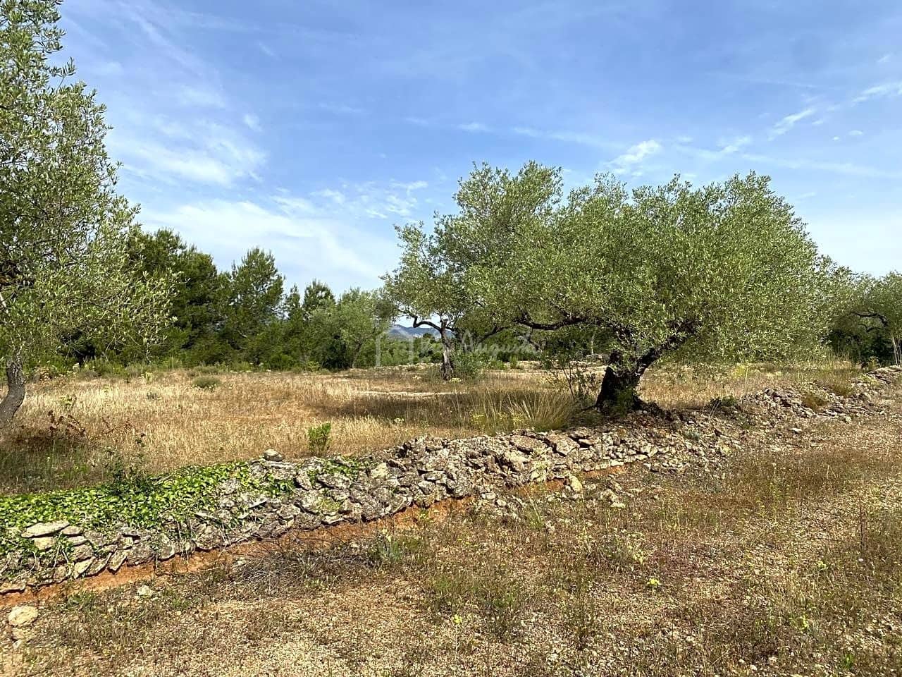 Teren niezagospodarowany na sprzedaż w El Perello - 12 500 € (Ref: 6903551)