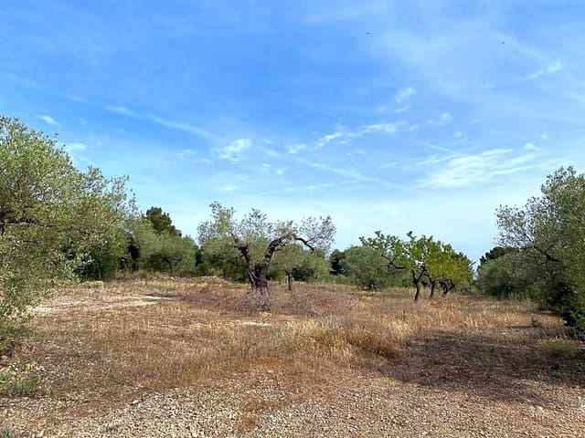 Undeveloped Land for sale in El Perelló - € 12,500 (Ref: 6903551)