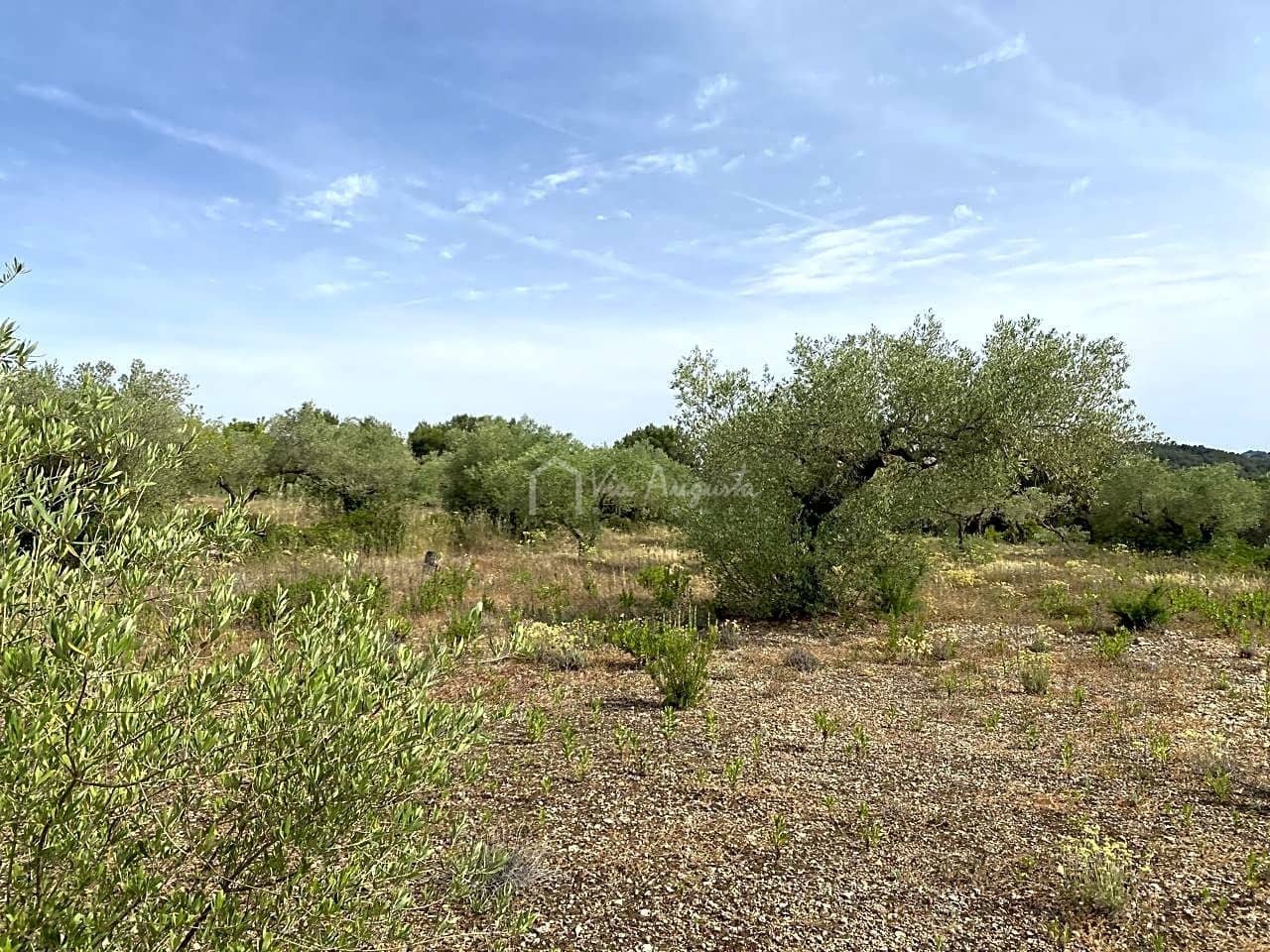 Teren niezagospodarowany na sprzedaż w El Perello - 12 500 € (Ref: 6903551)