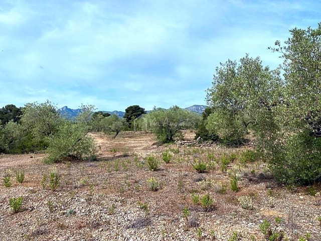 Undeveloped Land for sale in El Perelló - € 12,500 (Ref: 6903551)