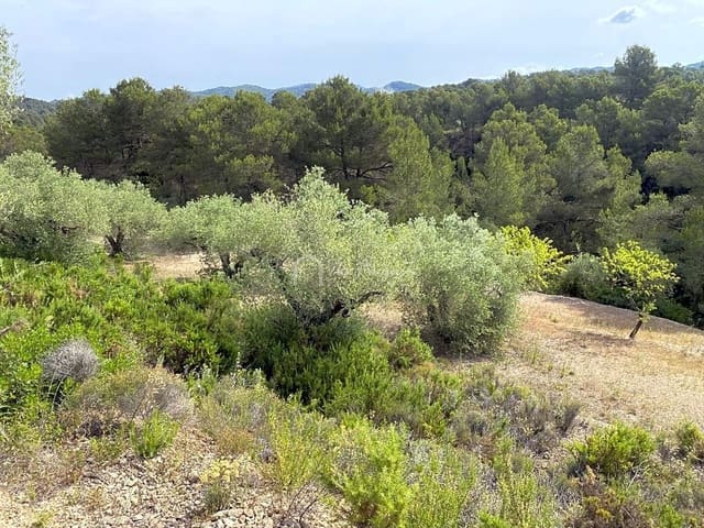 Undeveloped Land for sale in El Perelló - € 12,500 (Ref: 6903551)