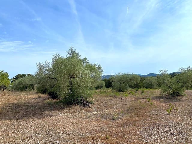 Undeveloped Land for sale in El Perelló - € 12,500 (Ref: 6903551)