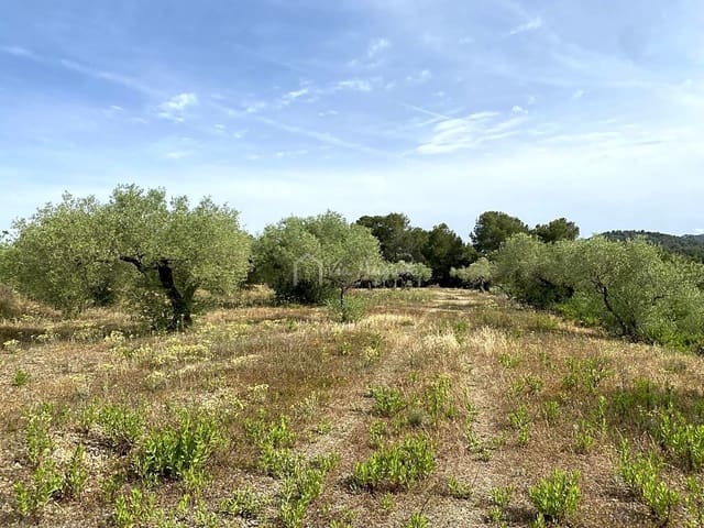 Undeveloped Land for sale in El Perelló - € 12,500 (Ref: 6903551)