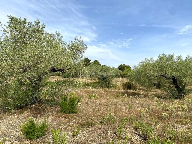 Undeveloped Land for sale in El Perelló - € 12,500 (Ref: 6903551)