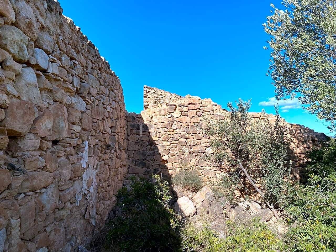 Grunde uden byggetilladelser til salg i Riba-roja d'Ebre - € 70.000 (Ref: 6905978)