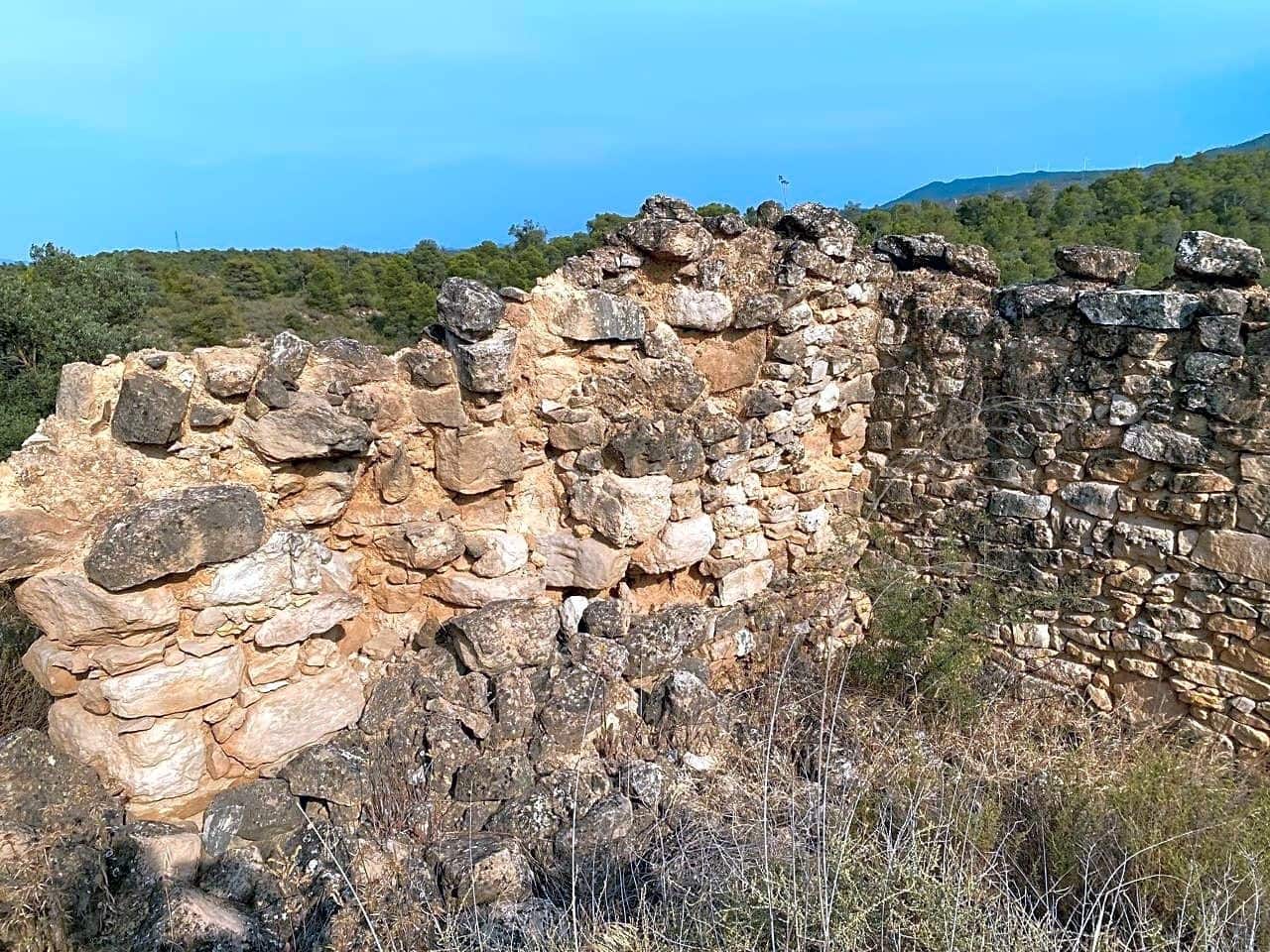 Grunde uden byggetilladelser til salg i Riba-roja d'Ebre - € 70.000 (Ref: 6905978)