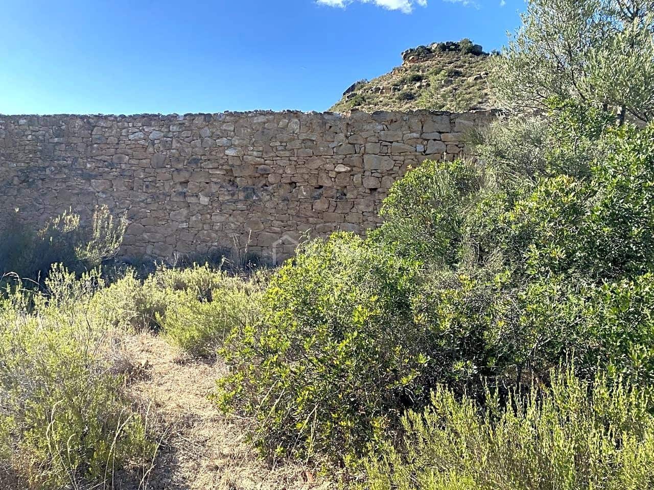 Grunde uden byggetilladelser til salg i Riba-roja d'Ebre - € 70.000 (Ref: 6905978)