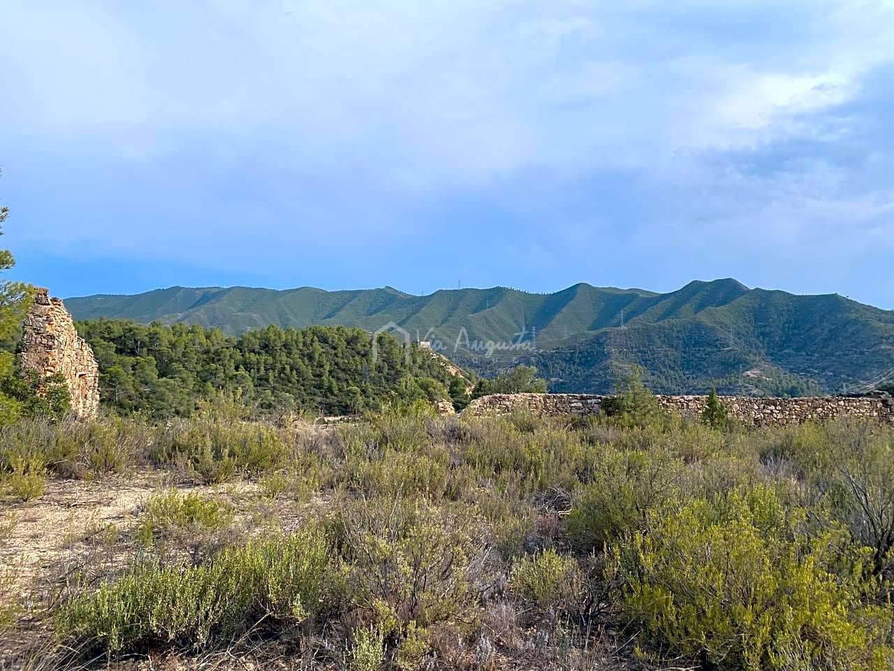 Grunde uden byggetilladelser til salg i Riba-roja d'Ebre - € 70.000 (Ref: 6905978)