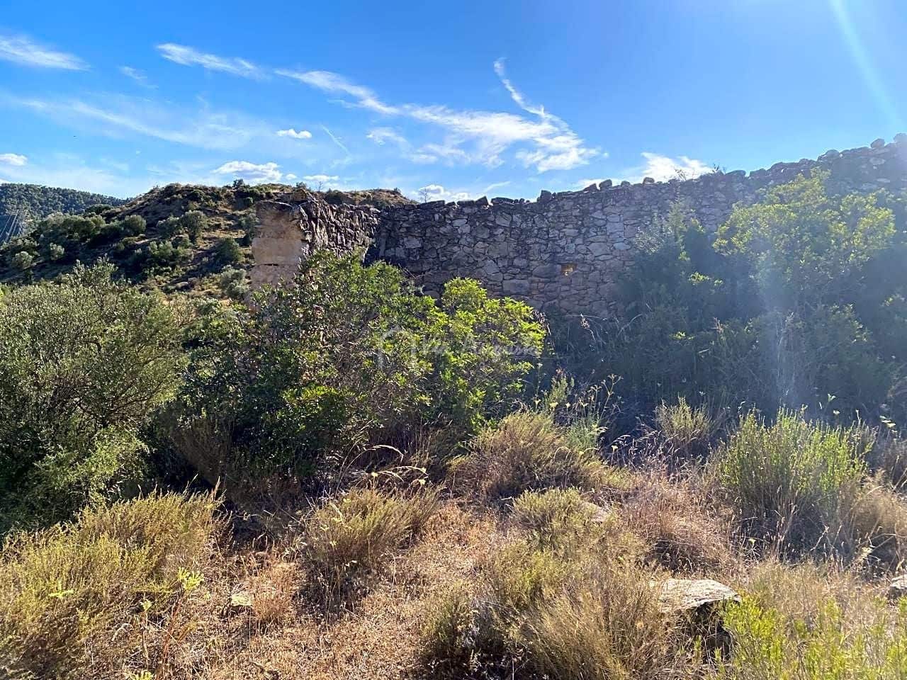 Grunde uden byggetilladelser til salg i Riba-roja d'Ebre - € 70.000 (Ref: 6905978)