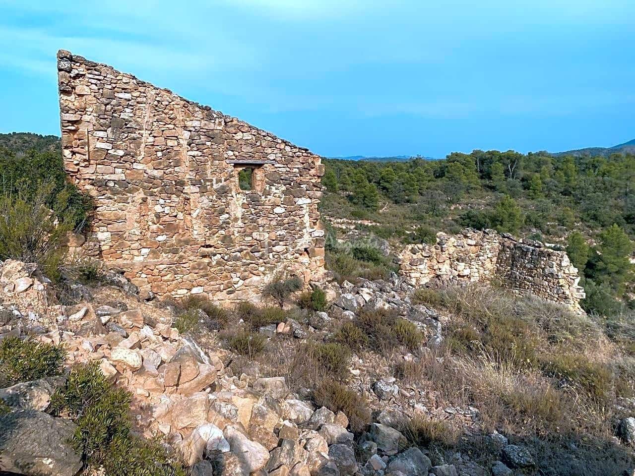 Grunde uden byggetilladelser til salg i Riba-roja d'Ebre - € 70.000 (Ref: 6905978)