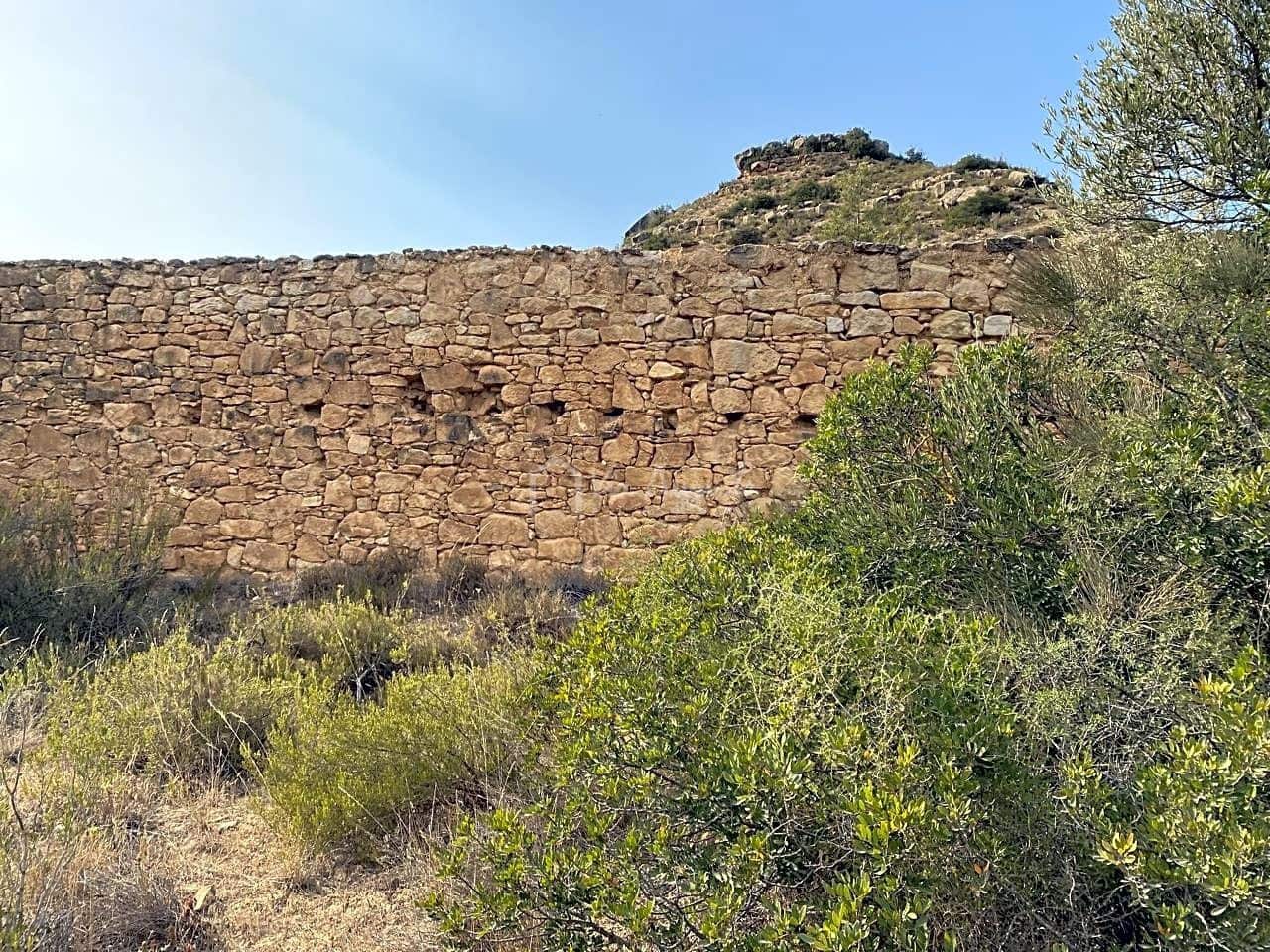 Grunde uden byggetilladelser til salg i Riba-roja d'Ebre - € 70.000 (Ref: 6905978)