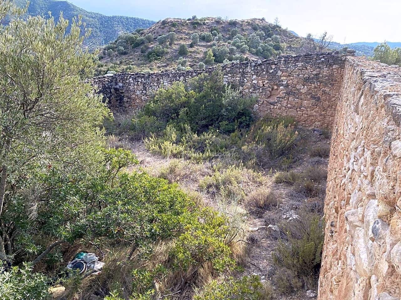 Grunde uden byggetilladelser til salg i Riba-roja d'Ebre - € 70.000 (Ref: 6905978)