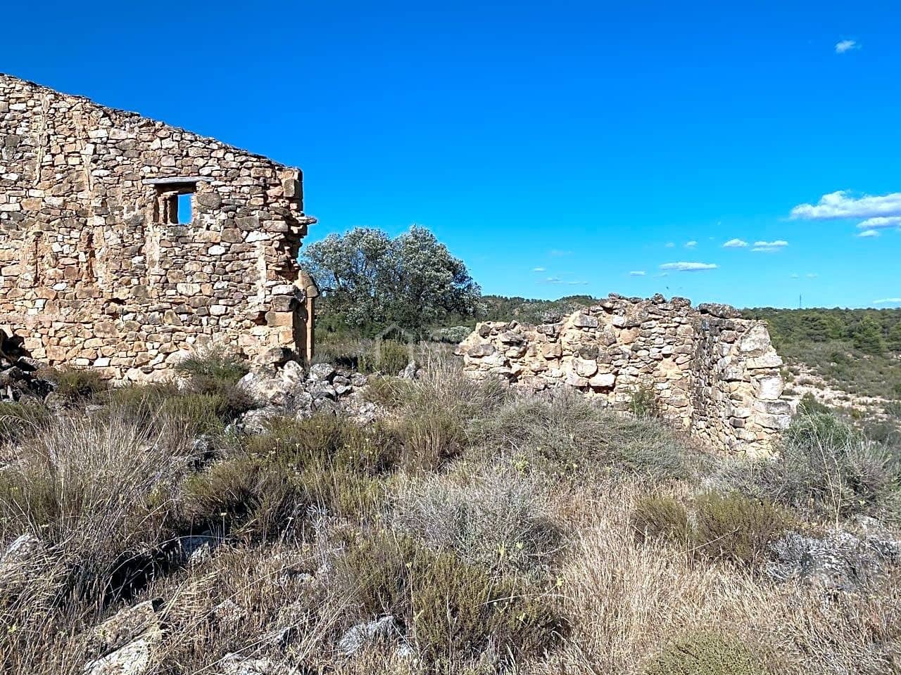 Grunde uden byggetilladelser til salg i Riba-roja d'Ebre - € 70.000 (Ref: 6905978)