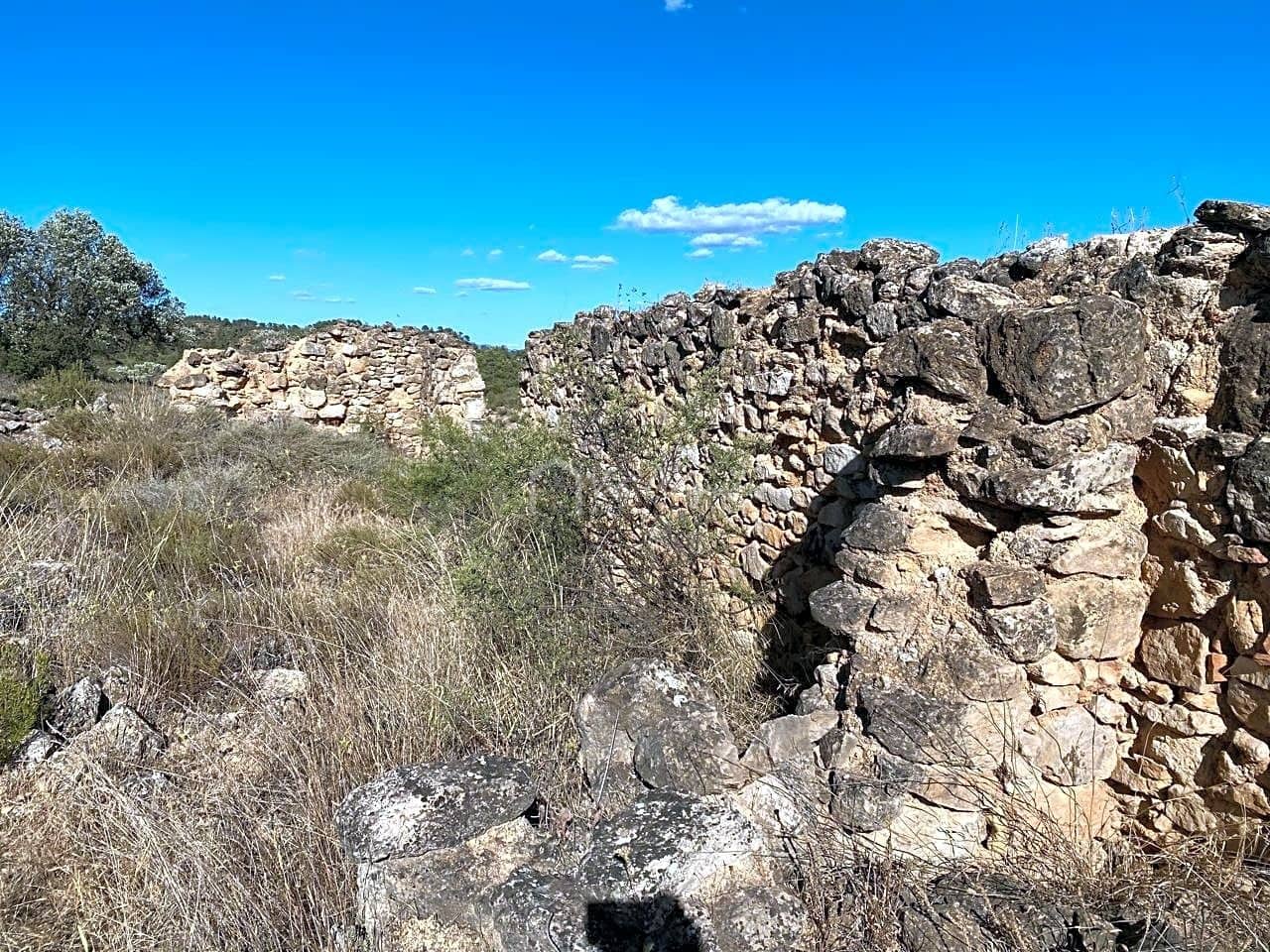 Grunde uden byggetilladelser til salg i Riba-roja d'Ebre - € 70.000 (Ref: 6905978)