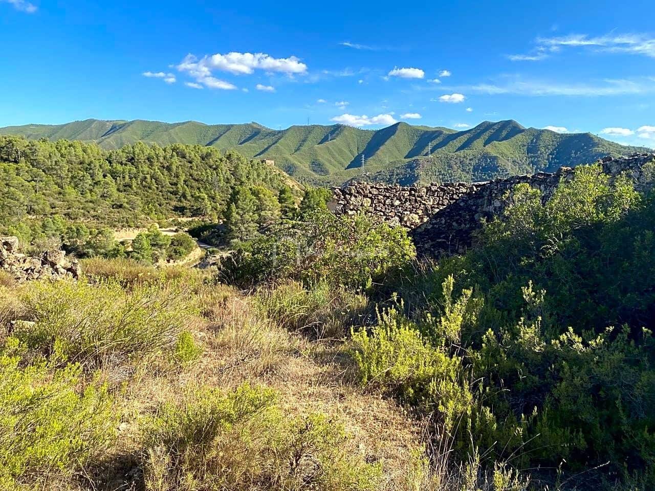 Grunde uden byggetilladelser til salg i Riba-roja d'Ebre - € 70.000 (Ref: 6905978)